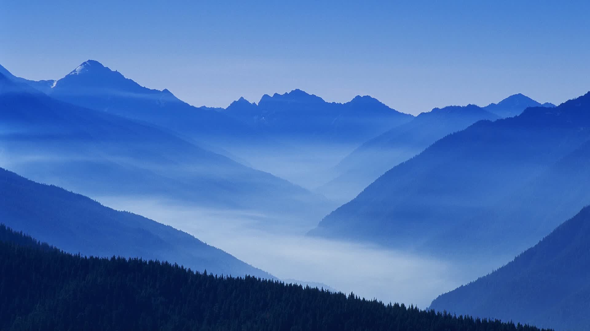世界拳击联赛评审制度再次升级，世界级拳击赛事